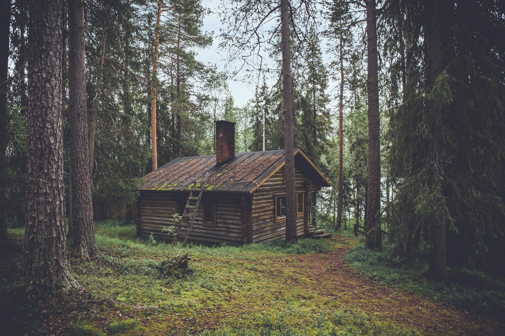 林間住宅與自然景觀